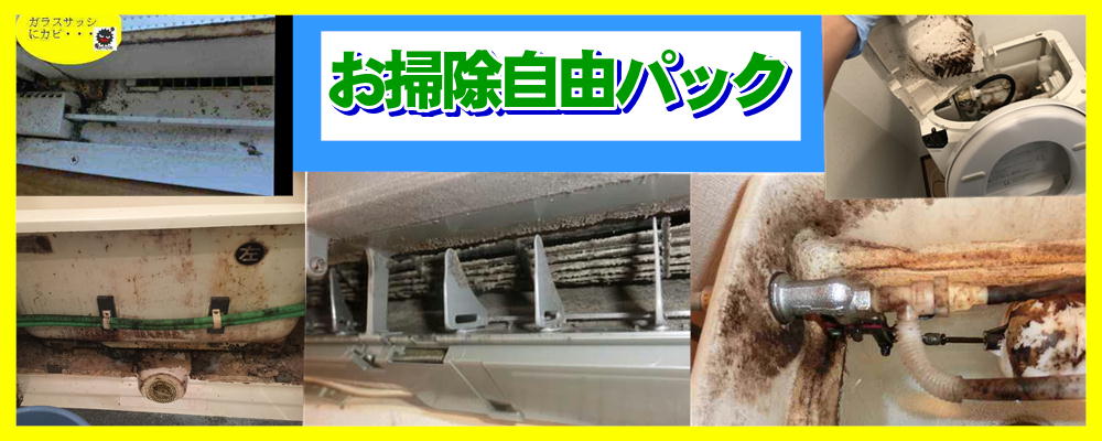 お掃除自由パックの画像